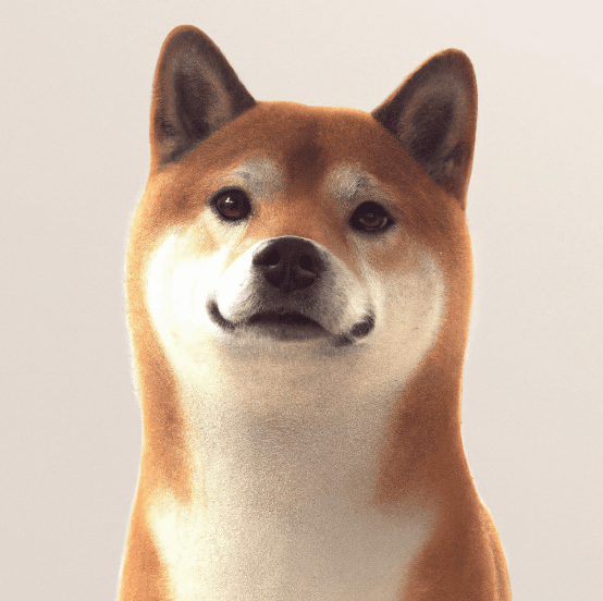 OpenINU